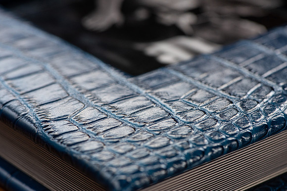 Exotic Leather Corner Detail