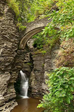 Watkins Glen, NY
